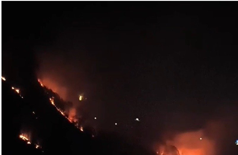 नैनीताल में जंगल की आग ने बढ़ाई दहशत, कृष्णापुर क्षेत्र में घरों तक पहुंचीं लपटें