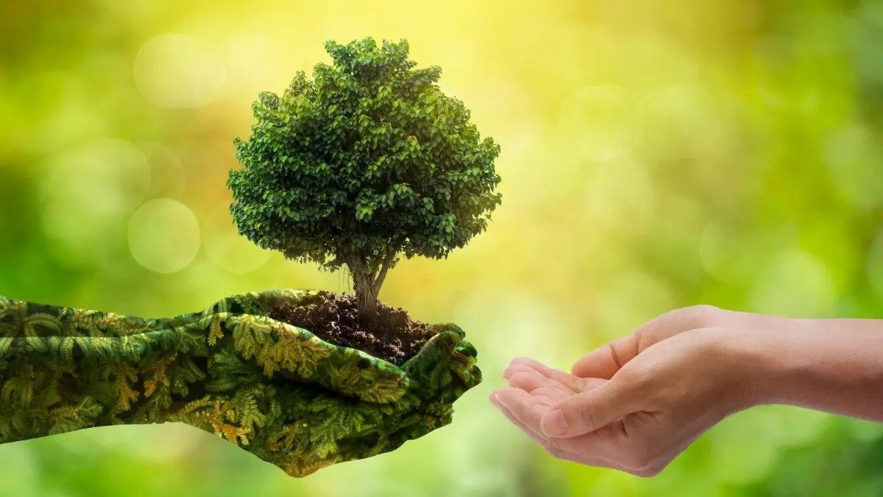 विश्व पर्यावरण दिवस पर उत्तराखंड के मदरसों में चलेगा “माँ के नाम एक पेड़” अभियान