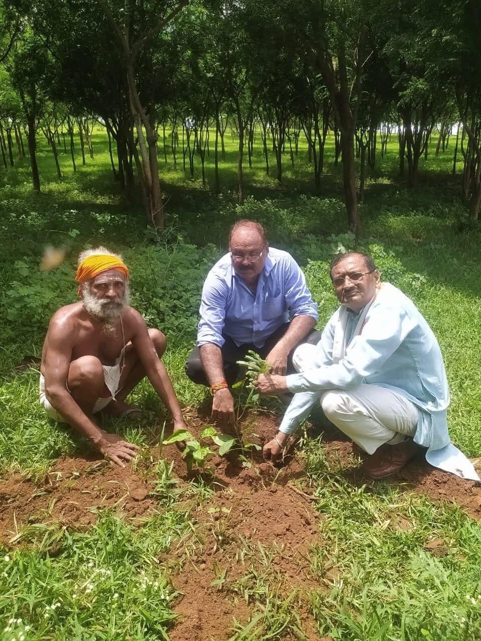 ग्लोबल वार्मिंग से जंग: एक पेड़ लगाकर निभाएं अपनी जिम्मेदारी
